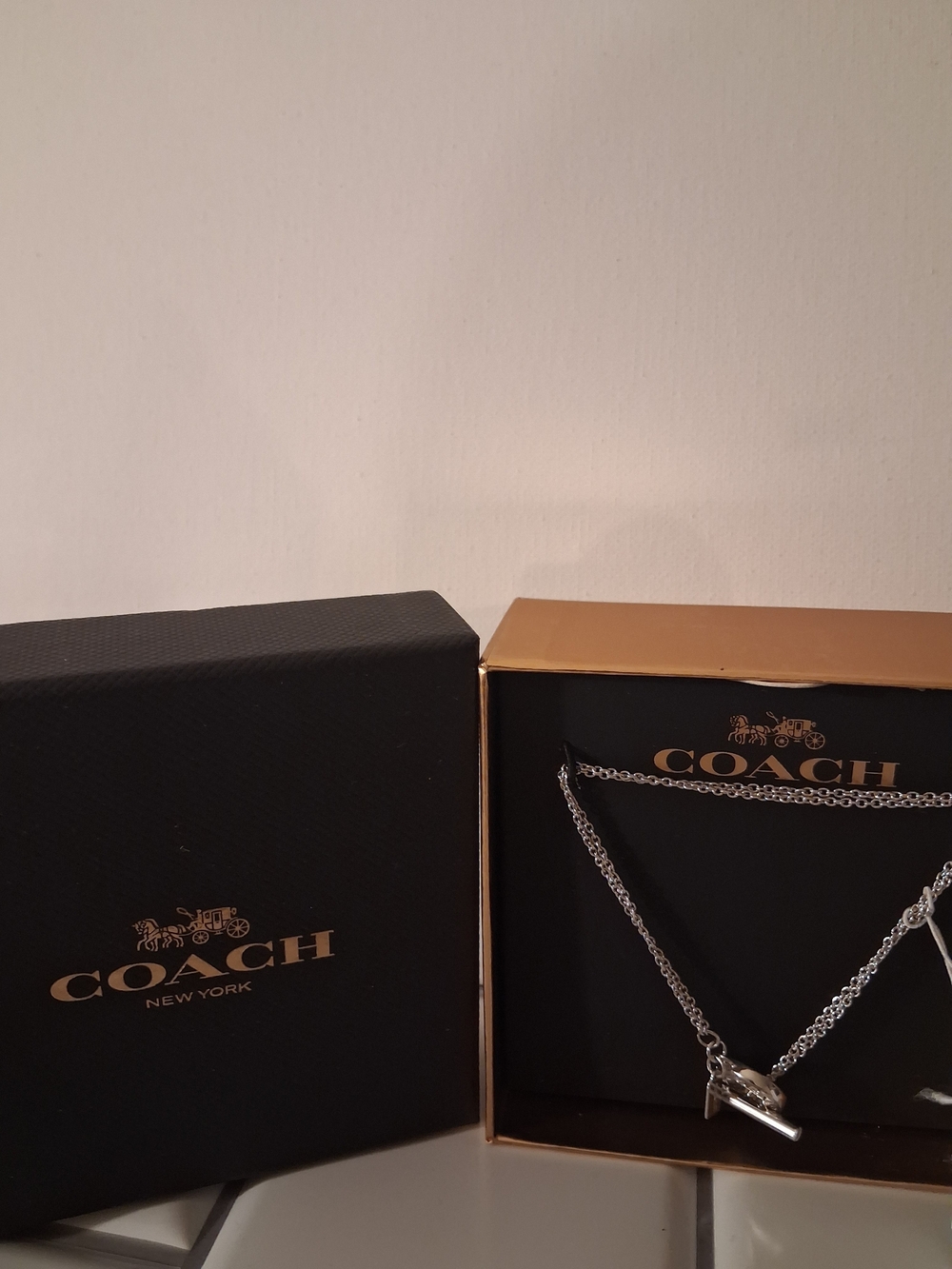COACH Silver Men’s Chain Necklace with Toggle Pendant